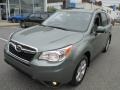 Jasmin Green Metallic - Forester 2.5i Limited Photo No. 2