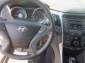 2014 Radiant Silver Hyundai Sonata GLS  photo #7