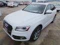 Glacier White Metallic - Q5 3.0 TFSI quattro Photo No. 3