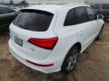 Glacier White Metallic - Q5 3.0 TFSI quattro Photo No. 7