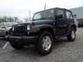 Black - Wrangler Sport 4x4 Photo No. 1