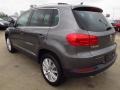 Pepper Gray Metallic - Tiguan SEL Photo No. 4