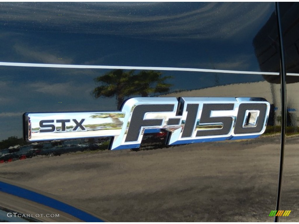 2014 F150 STX SuperCab - Tuxedo Black / Steel Grey photo #5