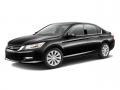 2014 Crystal Black Pearl Honda Accord EX-L V6 Sedan  photo #22