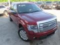 2014 Ruby Red Ford F150 Platinum SuperCrew 4x4  photo #11