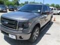 2014 Sterling Grey Ford F150 FX4 SuperCrew 4x4  photo #3