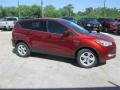 2014 Sunset Ford Escape SE 1.6L EcoBoost  photo #1