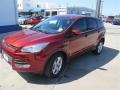 2014 Sunset Ford Escape SE 1.6L EcoBoost  photo #4