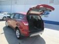2014 Sunset Ford Escape SE 1.6L EcoBoost  photo #12