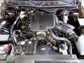 4.6 Liter SOHC 16 Valve V8 2004 Mercury Grand Marquis LS Ultimate Edition Engine