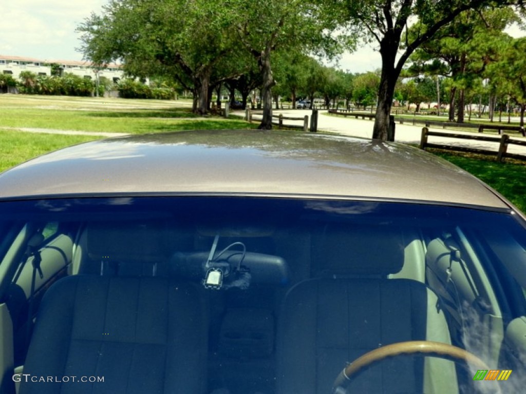 2004 Grand Marquis LS Ultimate Edition - Arizona Beige Metallic / Medium Parchment photo #19