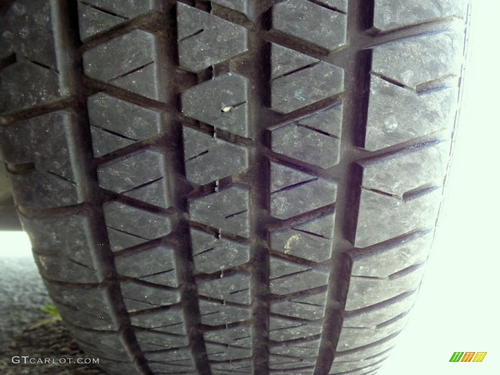 2004 Grand Marquis LS Ultimate Edition - Arizona Beige Metallic / Medium Parchment photo #50