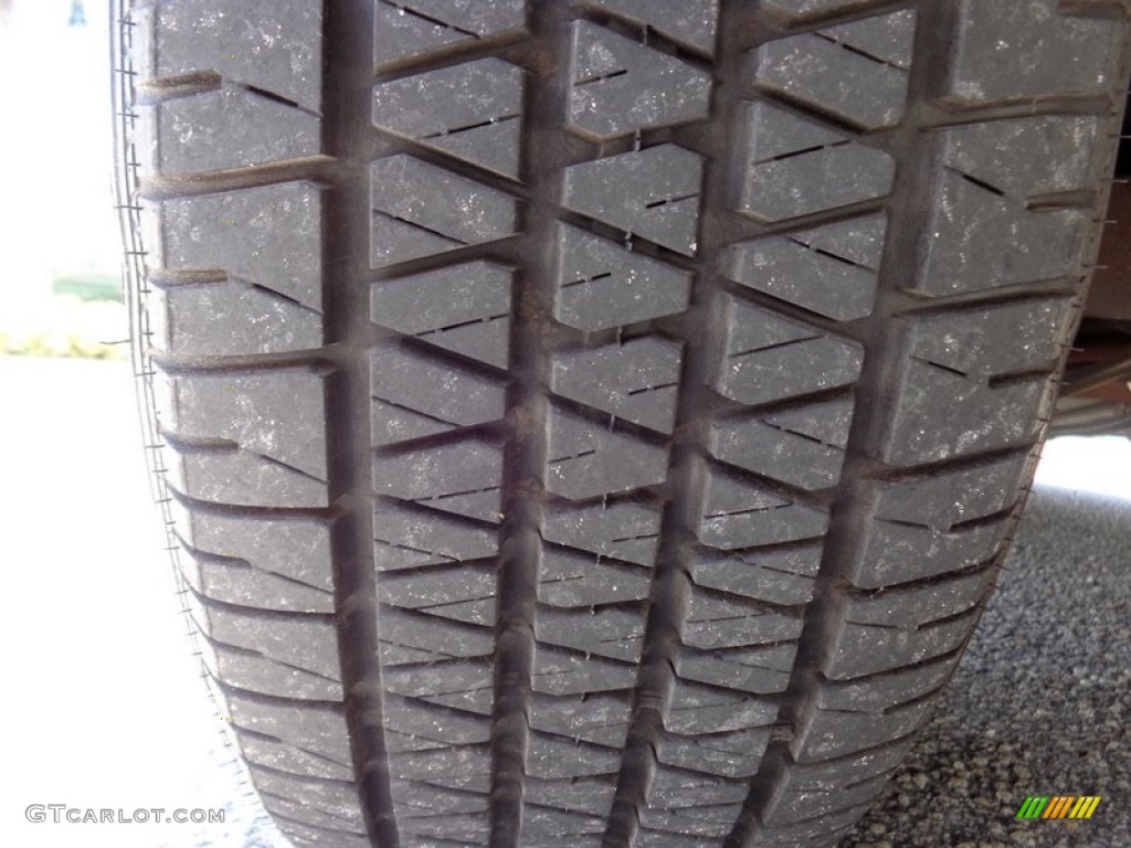 2004 Grand Marquis LS Ultimate Edition - Arizona Beige Metallic / Medium Parchment photo #52