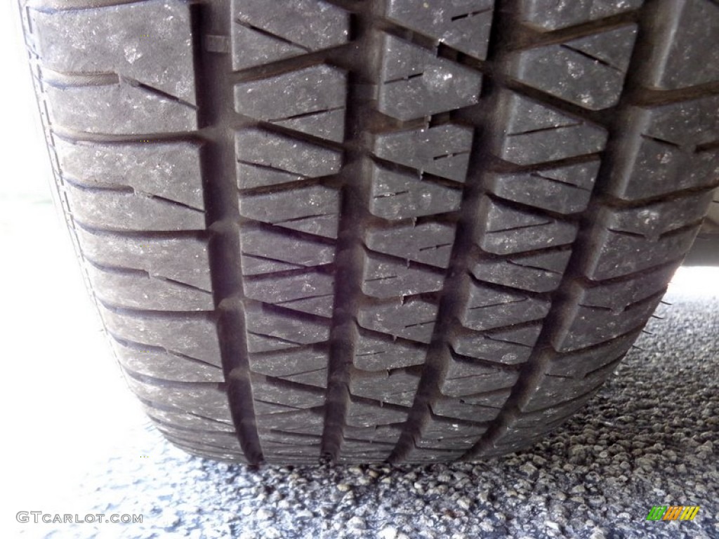 2004 Grand Marquis LS Ultimate Edition - Arizona Beige Metallic / Medium Parchment photo #53