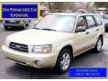 Sierra Gold Metallic 2004 Subaru Forester 2.5 XS