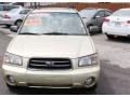 Sierra Gold Metallic - Forester 2.5 XS Photo No. 2