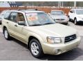 Sierra Gold Metallic - Forester 2.5 XS Photo No. 3