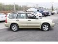 Sierra Gold Metallic - Forester 2.5 XS Photo No. 4