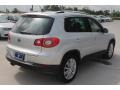 Reflex Silver Metallic - Tiguan SE Photo No. 9