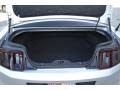 Ingot Silver - Mustang GT Coupe Photo No. 20