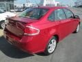 Sangria Red Metallic - Focus SES Sedan Photo No. 7