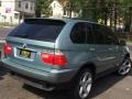 2003 Grey Green Metallic BMW X5 4.4i  photo #4