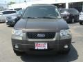 2007 Dark Stone Metallic Ford Escape XLT V6 4WD  photo #2