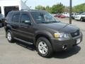 2007 Dark Stone Metallic Ford Escape XLT V6 4WD  photo #3