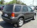 2007 Dark Stone Metallic Ford Escape XLT V6 4WD  photo #4