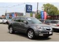 Polished Metal Metallic - MDX  Photo No. 1