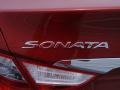 Venetian Red - Sonata GLS Photo No. 13