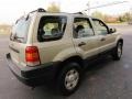 2003 Gold Ash Metallic Ford Escape XLS V6 4WD  photo #7