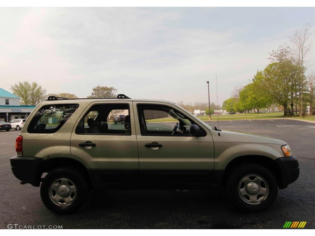 2003 Escape XLS V6 4WD - Gold Ash Metallic / Medium Dark Pebble photo #8