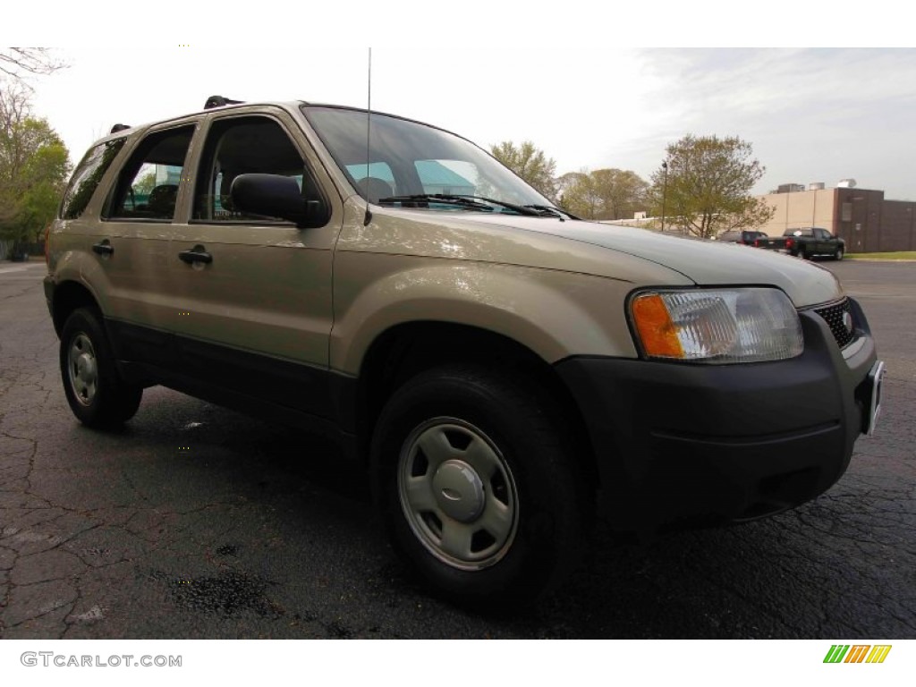 2003 Escape XLS V6 4WD - Gold Ash Metallic / Medium Dark Pebble photo #9