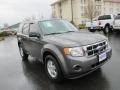 Sterling Gray Metallic 2012 Ford Escape XLS 4WD