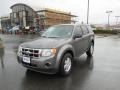 2012 Sterling Gray Metallic Ford Escape XLS 4WD  photo #2