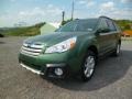 2014 Cypress Green Pearl Subaru Outback 2.5i Limited  photo #3