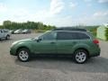 2014 Cypress Green Pearl Subaru Outback 2.5i Limited  photo #4