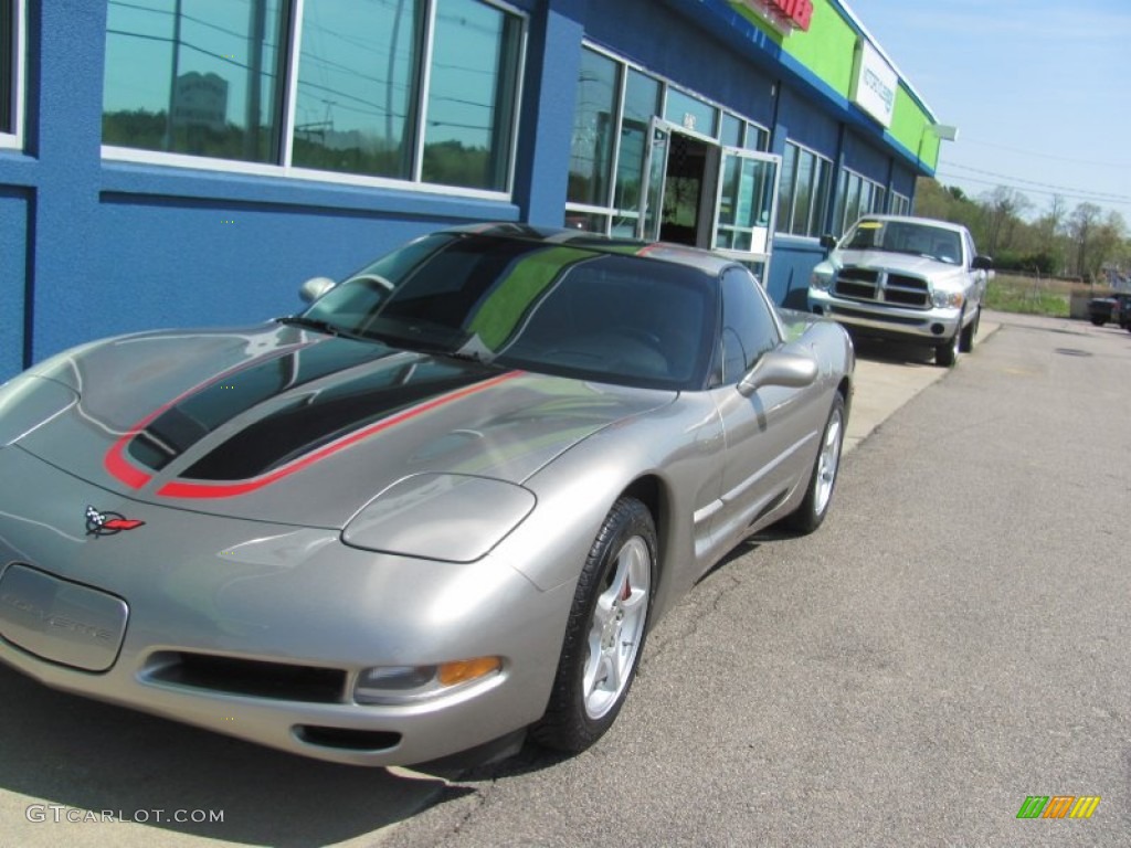 2000 Corvette Coupe - Light Pewter Metallic / Light Gray photo #6