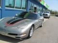 2000 Light Pewter Metallic Chevrolet Corvette Coupe  photo #6