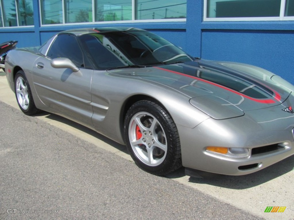 2000 Corvette Coupe - Light Pewter Metallic / Light Gray photo #8