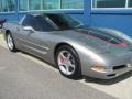 2000 Light Pewter Metallic Chevrolet Corvette Coupe  photo #8