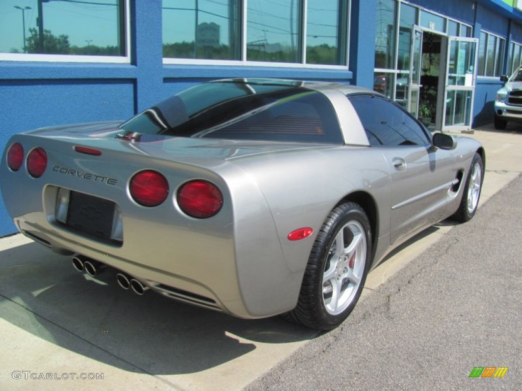 2000 Corvette Coupe - Light Pewter Metallic / Light Gray photo #10
