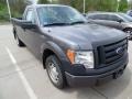 2010 Sterling Grey Metallic Ford F150 XL Regular Cab  photo #2