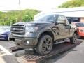 2014 Tuxedo Black Ford F150 FX4 Tremor Regular Cab 4x4  photo #4