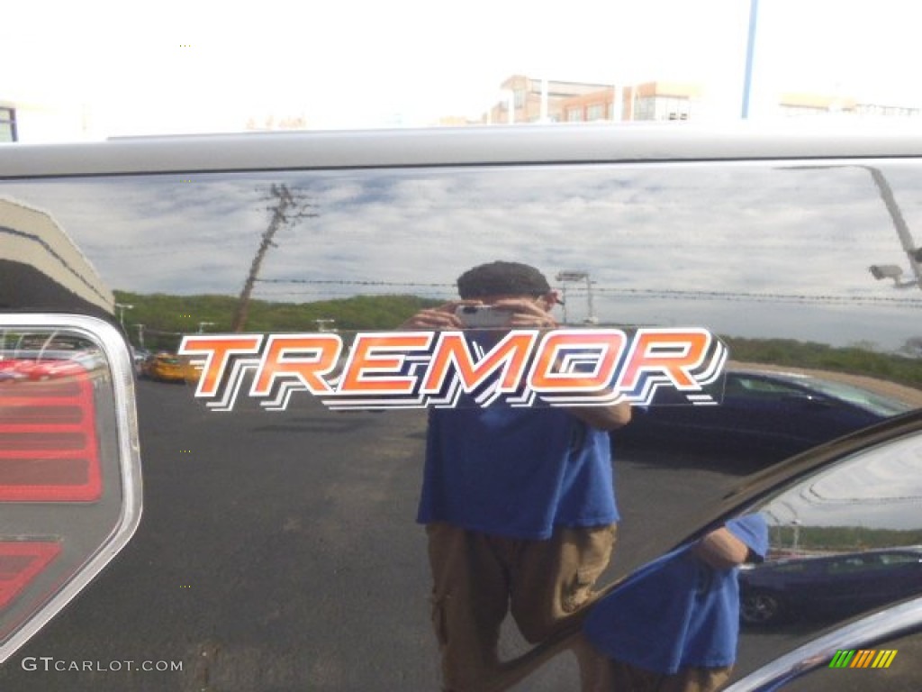 2014 F150 FX4 Tremor Regular Cab 4x4 - Tuxedo Black / FX Appearance Black Leather/Alcantara photo #10