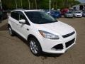 2014 White Platinum Ford Escape Titanium 1.6L EcoBoost 4WD  photo #2