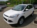 2014 White Platinum Ford Escape Titanium 1.6L EcoBoost 4WD  photo #4