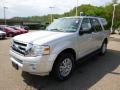 2014 Ingot Silver Ford Expedition XLT 4x4  photo #4