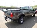 2015 Magnetic Ford F250 Super Duty XL Super Cab 4x4  photo #8